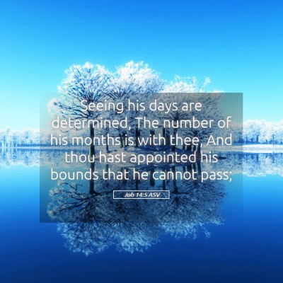 Picture 05 - Job 14:5 ASV - Seeing his days are determined, The number of his - Bible Verse Picture