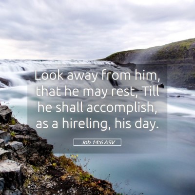 Picture 05 - Job 14:6 ASV - Look away from him, that he may rest, Till he - Bible Verse Picture