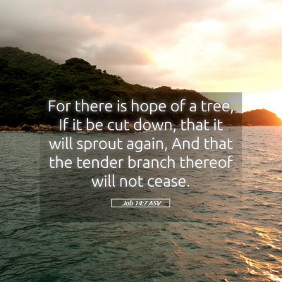 Picture 05 - Job 14:7 ASV - For there is hope of a tree, If it be cut down, - Bible Verse Picture
