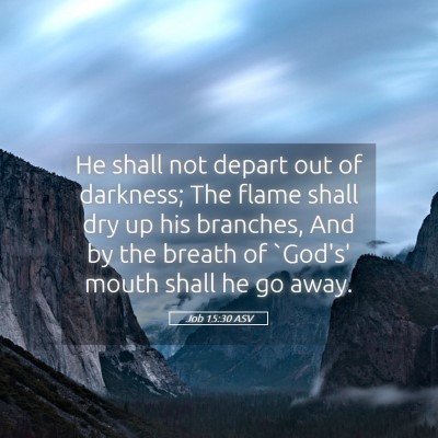 Picture 05 - Job 15:30 ASV - He shall not depart out of darkness; The flame - Bible Verse Picture