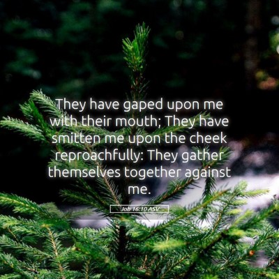 Picture 05 - Job 16:10 ASV - They have gaped upon me with their mouth; They - Bible Verse Picture