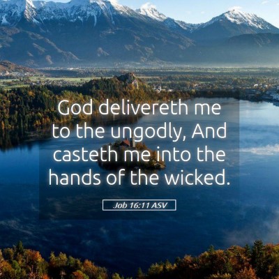 Picture 05 - Job 16:11 ASV - God delivereth me to the ungodly, And casteth me - Bible Verse Picture