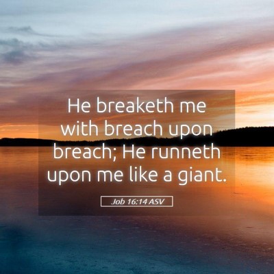 Picture 05 - Job 16:14 ASV - He breaketh me with breach upon breach; He - Bible Verse Picture