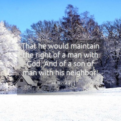 Picture 05 - Job 16:21 ASV - That he would maintain the right of a man with - Bible Verse Picture