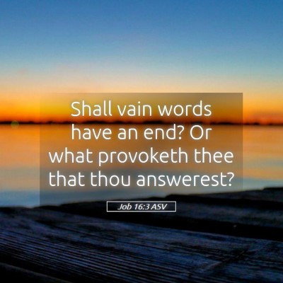 Picture 05 - Job 16:3 ASV - Shall vain words have an end? Or what provoketh - Bible Verse Picture