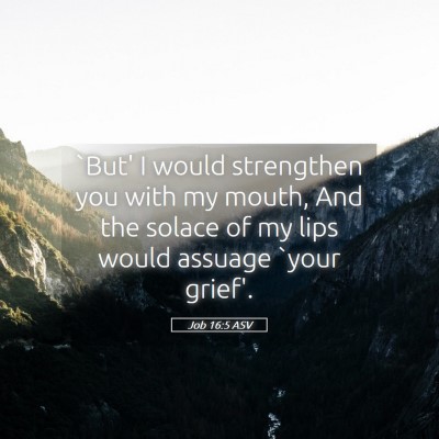 Picture 05 - Job 16:5 ASV - `But' I would strengthen you with my mouth, And - Bible Verse Picture