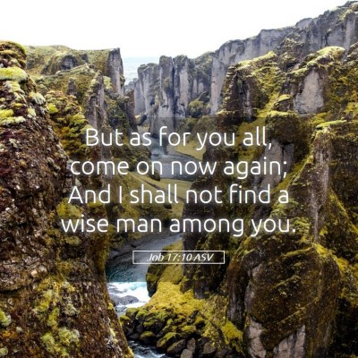 Picture 05 - Job 17:10 ASV - But as for you all, come on now again; And I - Bible Verse Picture