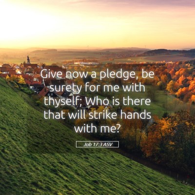 Picture 05 - Job 17:3 ASV - Give now a pledge, be surety for me with thyself; - Bible Verse Picture