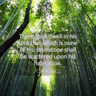 Picture 05 - Job 18:15 ASV - There shall dwell in his tent that which is none - Bible Verse Picture