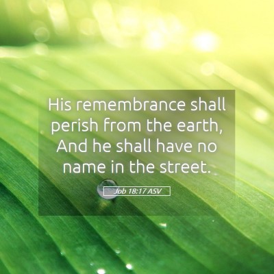 Picture 05 - Job 18:17 ASV - His remembrance shall perish from the earth, And - Bible Verse Picture