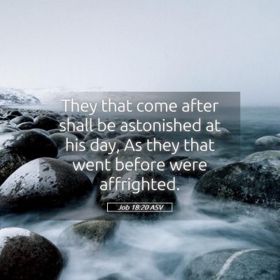 Picture 05 - Job 18:20 ASV - They that come after shall be astonished at his - Bible Verse Picture