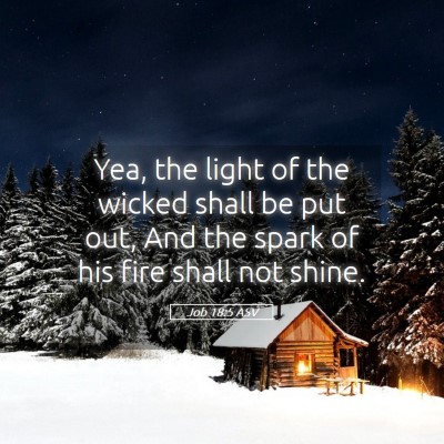 Picture 05 - Job 18:5 ASV - Yea, the light of the wicked shall be put out, - Bible Verse Picture