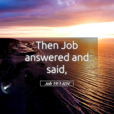 Picture 05 - Job 19:1 ASV - Then Job answered and - Bible Verse Picture
