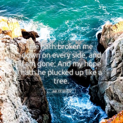 Picture 05 - Job 19:10 ASV - He hath broken me down on every side, and I am - Bible Verse Picture