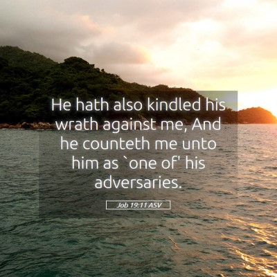 Picture 05 - Job 19:11 ASV - He hath also kindled his wrath against me, And he - Bible Verse Picture