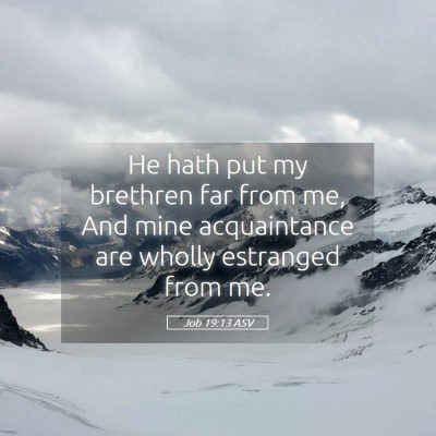 Picture 05 - Job 19:13 ASV - He hath put my brethren far from me, And mine - Bible Verse Picture