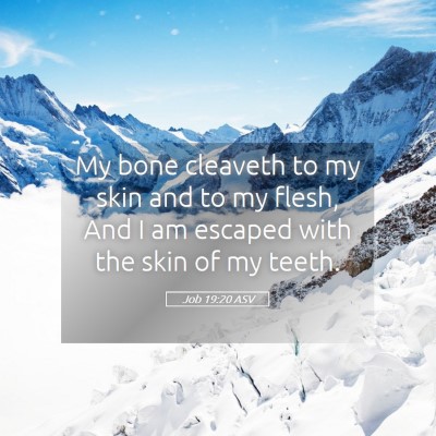 Picture 05 - Job 19:20 ASV - My bone cleaveth to my skin and to my flesh, And - Bible Verse Picture