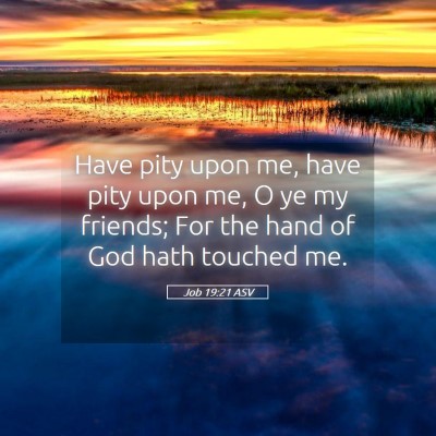 Picture 05 - Job 19:21 ASV - Have pity upon me, have pity upon me, O ye my - Bible Verse Picture