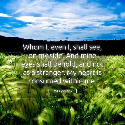 Picture 05 - Job 19:27 ASV - Whom I, even I, shall see, on my side, And mine - Bible Verse Picture