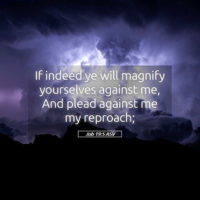 Picture 05 - Job 19:5 ASV - If indeed ye will magnify yourselves against me, - Bible Verse Picture