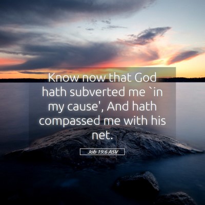 Picture 05 - Job 19:6 ASV - Know now that God hath subverted me `in my - Bible Verse Picture