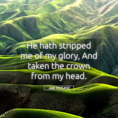 Picture 05 - Job 19:9 ASV - He hath stripped me of my glory, And taken the - Bible Verse Picture