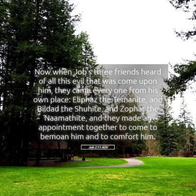 Picture 05 - Job 2:11 ASV - Now when Job's three friends heard of all this - Bible Verse Picture