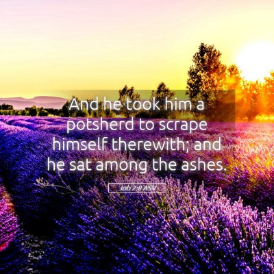 Picture 05 - Job 2:8 ASV - And he took him a potsherd to scrape himself - Bible Verse Picture