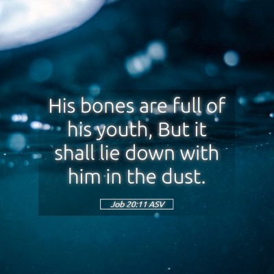 Picture 05 - Job 20:11 ASV - His bones are full of his youth, But it shall lie - Bible Verse Picture