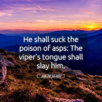 Picture 05 - Job 20:16 ASV - He shall suck the poison of asps: The viper's - Bible Verse Picture