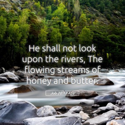 Picture 05 - Job 20:17 ASV - He shall not look upon the rivers, The flowing - Bible Verse Picture