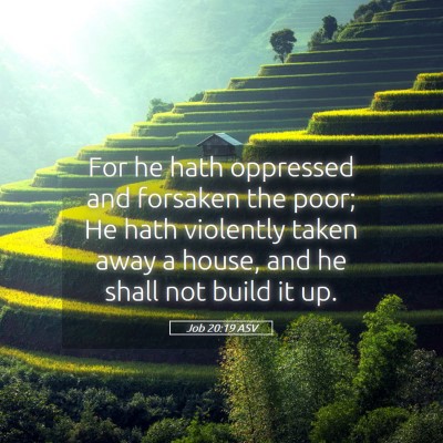 Picture 05 - Job 20:19 ASV - For he hath oppressed and forsaken the poor; He - Bible Verse Picture