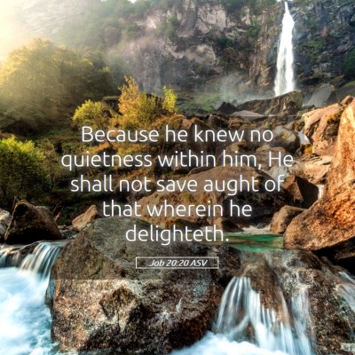 Picture 05 - Job 20:20 ASV - Because he knew no quietness within him, He shall - Bible Verse Picture