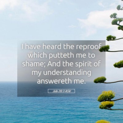 Picture 05 - Job 20:3 ASV - I have heard the reproof which putteth me to - Bible Verse Picture