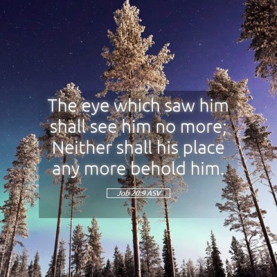 Picture 05 - Job 20:9 ASV - The eye which saw him shall see him no more; - Bible Verse Picture