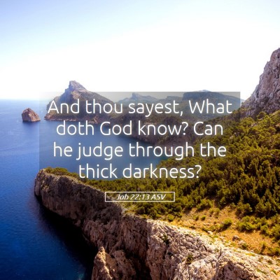 Picture 05 - Job 22:13 ASV - And thou sayest, What doth God know? Can he judge - Bible Verse Picture