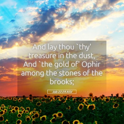 Picture 05 - Job 22:24 ASV - And lay thou `thy' treasure in the dust, And `the - Bible Verse Picture