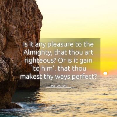 Picture 05 - Job 22:3 ASV - Is it any pleasure to the Almighty, that thou art - Bible Verse Picture