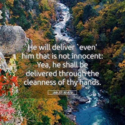 Picture 05 - Job 22:30 ASV - He will deliver `even' him that is not innocent: - Bible Verse Picture