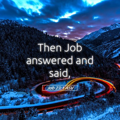 Picture 05 - Job 23:1 ASV - Then Job answered and - Bible Verse Picture