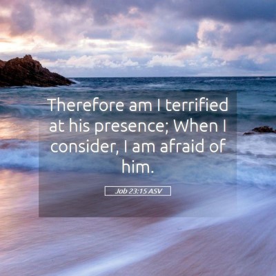 Picture 05 - Job 23:15 ASV - Therefore am I terrified at his presence; When I - Bible Verse Picture