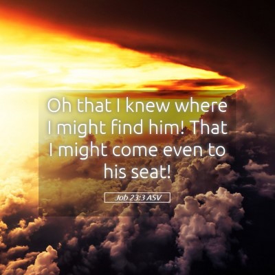 Picture 05 - Job 23:3 ASV - Oh that I knew where I might find him! That I - Bible Verse Picture