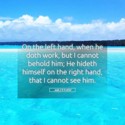 Picture 05 - Job 23:9 ASV - On the left hand, when he doth work, but I cannot - Bible Verse Picture