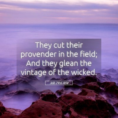 Picture 05 - Job 24:6 ASV - They cut their provender in the field; And they - Bible Verse Picture