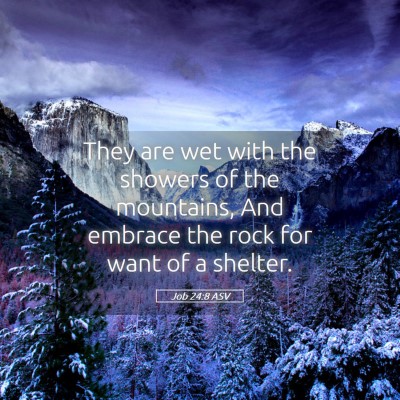 Picture 05 - Job 24:8 ASV - They are wet with the showers of the mountains, - Bible Verse Picture