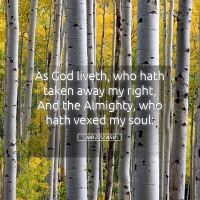 Picture 05 - Job 27:2 ASV - As God liveth, who hath taken away my right, And - Bible Verse Picture