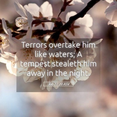 Picture 05 - Job 27:20 ASV - Terrors overtake him like waters; A tempest - Bible Verse Picture