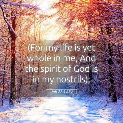 Picture 05 - Job 27:3 ASV - (For my life is yet whole in me, And the spirit - Bible Verse Picture