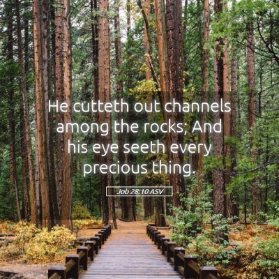 Picture 05 - Job 28:10 ASV - He cutteth out channels among the rocks; And his - Bible Verse Picture