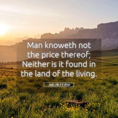 Picture 05 - Job 28:13 ASV - Man knoweth not the price thereof; Neither is it - Bible Verse Picture